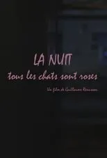 Película La nuit, tous les chats sont roses