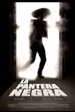 Poster de La pantera negra