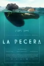 Poster de La pecera