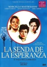 Póster de la película La senda de la esperanza