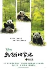 Poster de la película La senda del panda - Películas hoy en TV