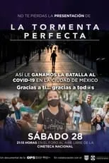 Poster de la película La tormenta perfecta - Películas hoy en TV