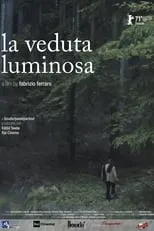 Poster de la película La veduta luminosa - Películas hoy en TV