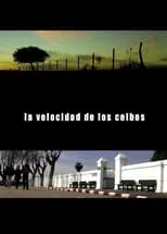 Película La Velocidad de los Ceibos