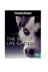 Póster de la película La vida secreta de los perros