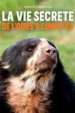 Póster de la película La vie secrète de l’ours à lunettes