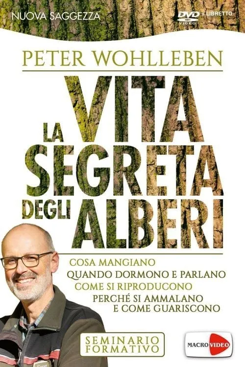 Póster de la película La vita segreta degli alberi