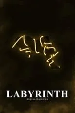 Película Labyrinth