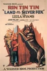 Póster de la película Land of the Silver Fox