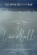 Poster de Landfall