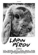 Portada de Lapin perdu