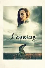 Poster de Lapwing