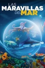 Poster de Las maravillas del mar