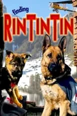 Poster de Las nuevas aventuras de Rin-Tin-Tin