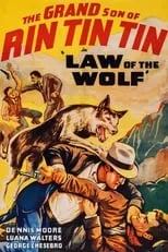 Póster de Law of the Wolf