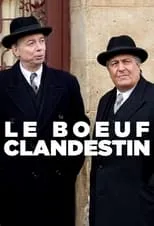 Póster de la película Le Bœuf clandestin