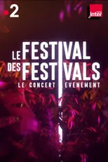 Sébastien Tellier interpreta a Self en Le festival des festivals