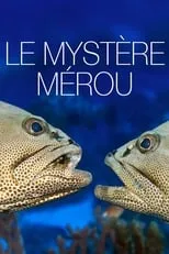 Película Le Mystère Mérou