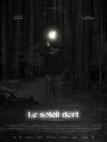 Póster de la película Le soleil dort