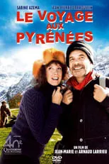 Poster de Le Voyage aux Pyrénées