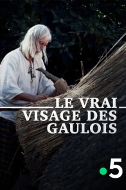 Póster de la película Le Vrai Visage des Gaulois