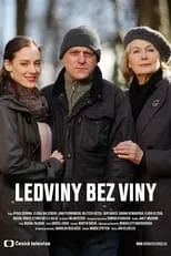 Póster de la película Ledviny bez viny