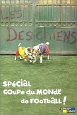 Póster de la película Les Deschiens - Spécial Coupe du Monde de football