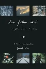 Poster de Les films rêvés