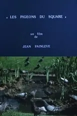 Jean Painlevé es Self (uncredited) en Les pigeons du square