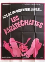 Póster de la película Les pornochattes