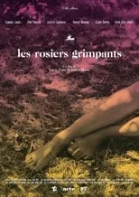 Póster de la película Les rosiers grimpants