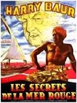 Póster de la película Les Secrets de la mer Rouge