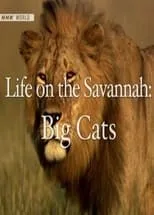 Película Life on the Savannah: Big Cats