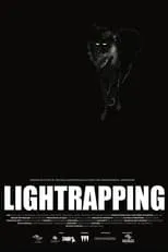 Película Lightrapping