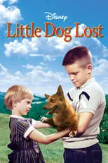 Poster de la película Little Dog Lost - Películas hoy en TV