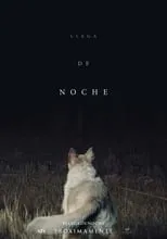 Poster de la película Llega de noche - Películas hoy en TV