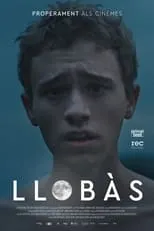 Poster de la película Llobàs - Películas hoy en TV