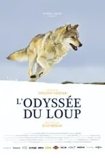 Poster de la película L'Odyssée du loup - Películas hoy en TV