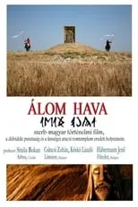 Poster de Álom hava