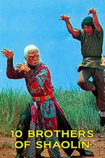 Poster de la película Los 10 Hermanos Shaolin - Películas hoy en TV