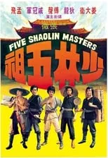 Los 5 Maestros de Shaolin portada