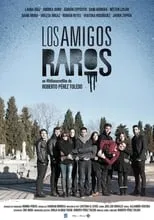 Póster de la película Los amigos raros