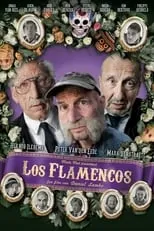 Póster de la película Los Flamencos