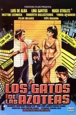 Película Los gatos de las azoteas