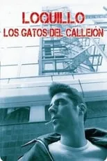 Póster de la película Los gatos del callejón