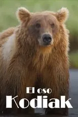 Película Los osos gigantes de Alaska