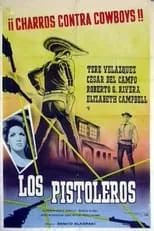 Póster de la película Los pistoleros