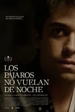 Fabián Castro es David en Los pájaros no vuelan de noche