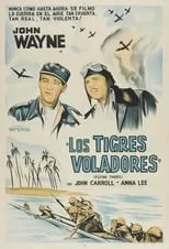 Poster de la película Los tigres voladores - Películas hoy en TV