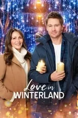 Póster de la película Love in Winterland